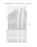 MEANS AND METHODS FOR INVESTIGATING NUCLEIC ACID SEQUENCES diagram and image