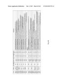 MEANS AND METHODS FOR INVESTIGATING NUCLEIC ACID SEQUENCES diagram and image