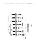 MEANS AND METHODS FOR INVESTIGATING NUCLEIC ACID SEQUENCES diagram and image