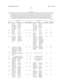 MEANS AND METHODS FOR INVESTIGATING NUCLEIC ACID SEQUENCES diagram and image