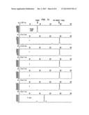 Detection of Amplification Products diagram and image