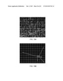 METHOD OF DETECTING VIABLE CELLS IN A CELL SAMPLE diagram and image