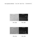 METHOD OF DETECTING VIABLE CELLS IN A CELL SAMPLE diagram and image