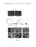 GENOTOXICITY AS A BIOMARKER FOR INFLAMMATION diagram and image