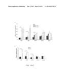 GENOTOXICITY AS A BIOMARKER FOR INFLAMMATION diagram and image