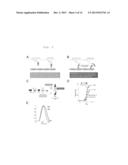 BIOMARKERS AND THERAPEUTIC TARGETS FOR TREATING CARDIOMYOPATHIES AND     CONGESTIVE HEART FAILURE diagram and image