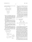 PROCESSES AND KITS FOR DETERMINING MULTI-DRUG RESISTANCE OF CELLS diagram and image