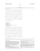 Composition Comprising Antibodies to LINGO or Fragments Thereof diagram and image