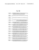 ANTI SYSTEM ASC AMINO ACID TRANSPORTER 2 (ASCT2) ANTIBODY diagram and image