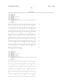 ANTI SYSTEM ASC AMINO ACID TRANSPORTER 2 (ASCT2) ANTIBODY diagram and image