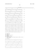 ANTI SYSTEM ASC AMINO ACID TRANSPORTER 2 (ASCT2) ANTIBODY diagram and image