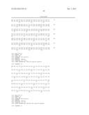 ANTI SYSTEM ASC AMINO ACID TRANSPORTER 2 (ASCT2) ANTIBODY diagram and image