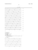 ANTI SYSTEM ASC AMINO ACID TRANSPORTER 2 (ASCT2) ANTIBODY diagram and image