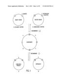 METHODS AND COMPOSITIONS FOR SYNTHESIS OF NUCLEIC ACID MOLECULES USING     MULTIPLERECOGNITION SITES diagram and image