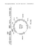 METHODS AND COMPOSITIONS FOR SYNTHESIS OF NUCLEIC ACID MOLECULES USING     MULTIPLERECOGNITION SITES diagram and image