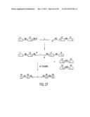 METHODS AND COMPOSITIONS FOR SYNTHESIS OF NUCLEIC ACID MOLECULES USING     MULTIPLERECOGNITION SITES diagram and image