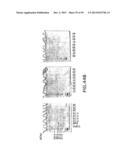 METHODS AND COMPOSITIONS FOR SYNTHESIS OF NUCLEIC ACID MOLECULES USING     MULTIPLERECOGNITION SITES diagram and image