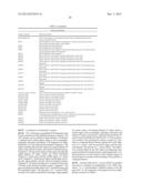 EXPRESSION OF ANTIBODY OR A FRAGMENT THEREOF IN LACTOBACILLUS diagram and image