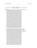 EXPRESSION OF ANTIBODY OR A FRAGMENT THEREOF IN LACTOBACILLUS diagram and image