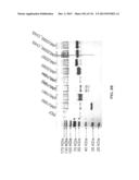 Yeast Expressing Saccharolytic Enzymes for Consolidated Bioprocessing     Using Starch and Cellulose diagram and image