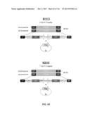 Yeast Expressing Saccharolytic Enzymes for Consolidated Bioprocessing     Using Starch and Cellulose diagram and image