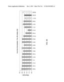 Yeast Expressing Saccharolytic Enzymes for Consolidated Bioprocessing     Using Starch and Cellulose diagram and image