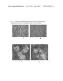 INTEGRATED VERSATILE KIT FOR ISOLATING COMPONENTS IN BIOLOGICAL SAMPLES diagram and image