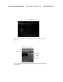 INTEGRATED VERSATILE KIT FOR ISOLATING COMPONENTS IN BIOLOGICAL SAMPLES diagram and image