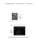 INTEGRATED VERSATILE KIT FOR ISOLATING COMPONENTS IN BIOLOGICAL SAMPLES diagram and image