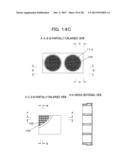 Culture Substrate and Culture Sheet diagram and image