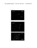 TAU IMAGING PROBE diagram and image