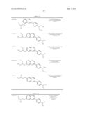 TAU IMAGING PROBE diagram and image