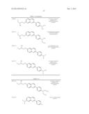 TAU IMAGING PROBE diagram and image