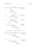 TAU IMAGING PROBE diagram and image