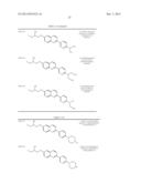 TAU IMAGING PROBE diagram and image