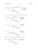 TAU IMAGING PROBE diagram and image