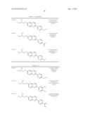 TAU IMAGING PROBE diagram and image