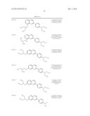 TAU IMAGING PROBE diagram and image