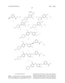 SELECTIVE FAK INHIBITORS diagram and image