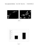 Lipid Nanoparticles for Treating Ocular Diseases diagram and image