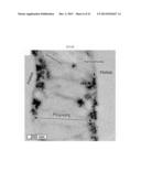 SHAPE-MEMORY STRUCTURES diagram and image