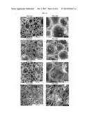 SHAPE-MEMORY STRUCTURES diagram and image