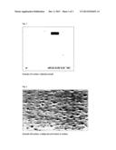 ADHESION PROMOTER RESIN COMPOSITIONS AND COATING COMPOSITIONS HAVING THE     ADHESION PROMOTER RESIN COMPOSITIONS diagram and image