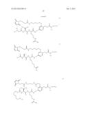 Branched Linker for Protein Drug Conjugates diagram and image