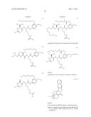 Branched Linker for Protein Drug Conjugates diagram and image