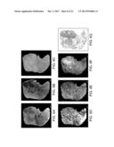 DEVICES AND METHODS FOR OPTICAL PATHOLOGY diagram and image