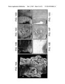 DEVICES AND METHODS FOR OPTICAL PATHOLOGY diagram and image