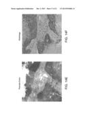 DEVICES AND METHODS FOR OPTICAL PATHOLOGY diagram and image