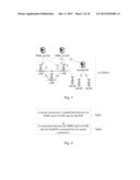 Connection Processing Method and System diagram and image