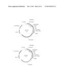 TARGETED MODIFICATION OF MALATE DEHYDROGENASE diagram and image